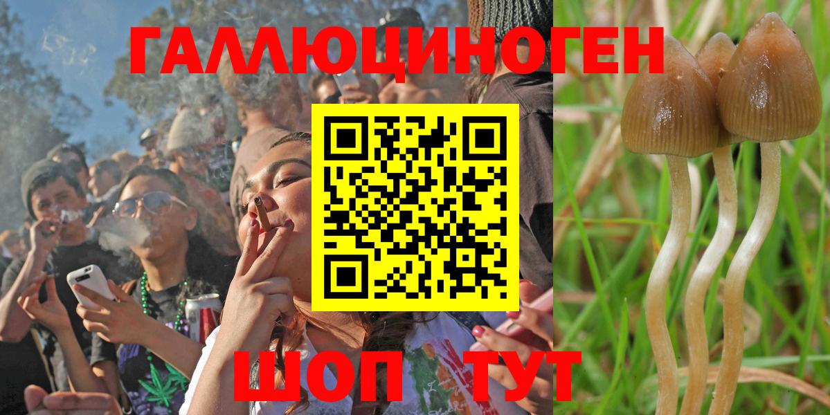 Галлюциногенные грибы мицелий Шатура