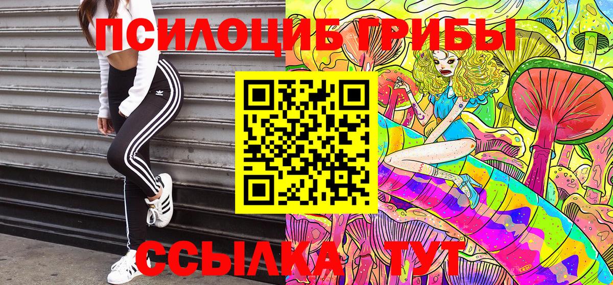 Шатура  Галлюциногенные грибы Magic Shrooms  Вход с VPN 